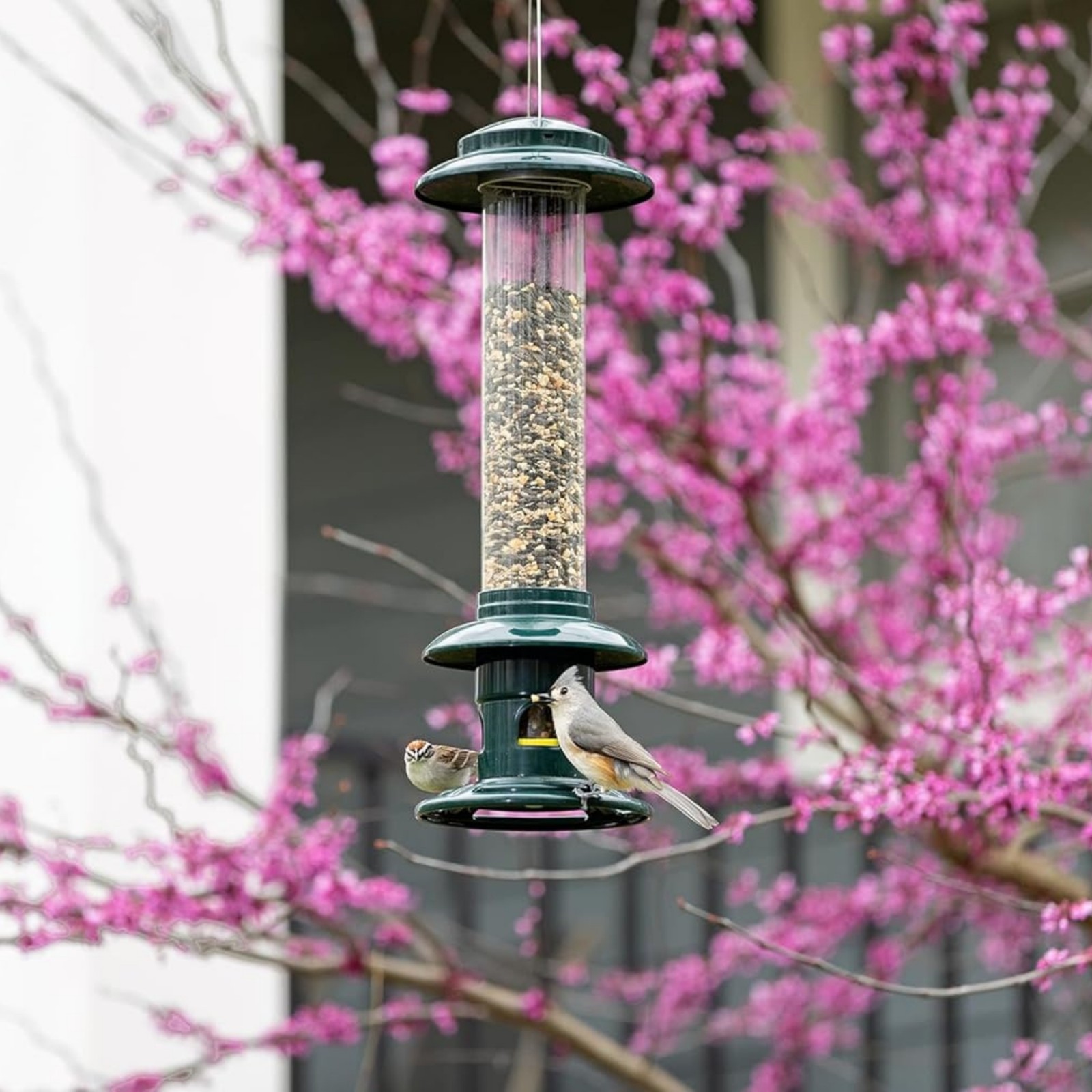 Brome Squirrel Buster Evolution Bird Feeder with Double Cardinal Ring gallery