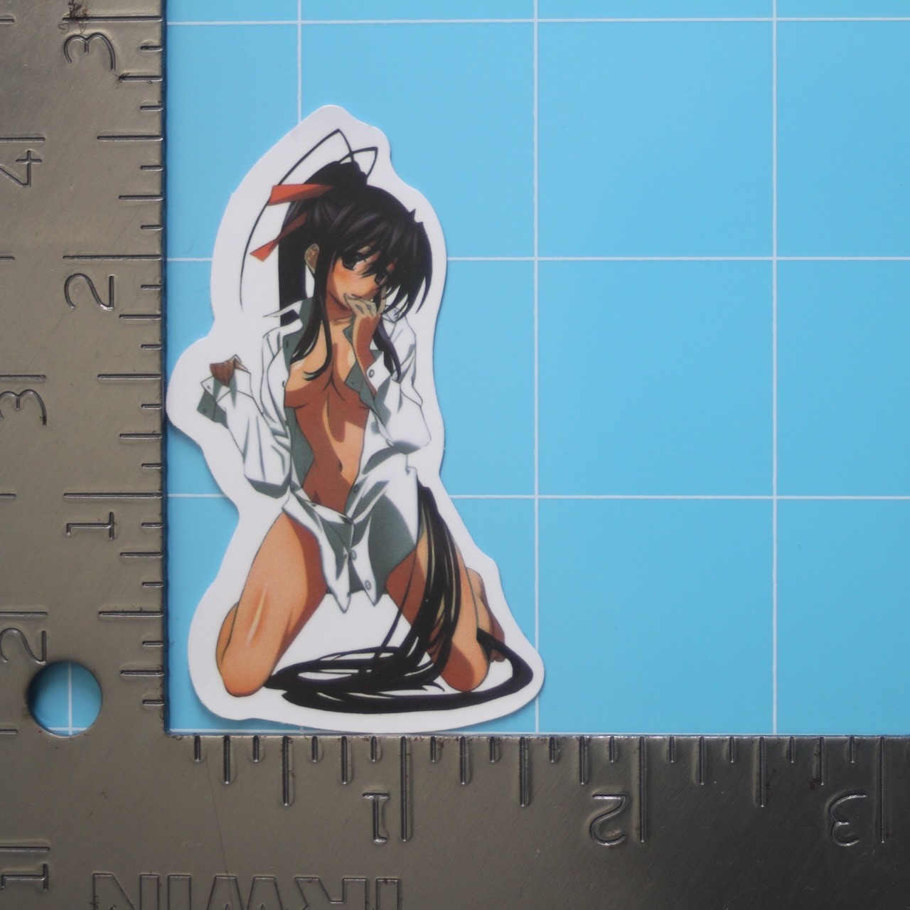 High School DxD Waifu Sticker (AKENO HIMEJIMA) Manga Anime Hentai, Gloss Decal gallery