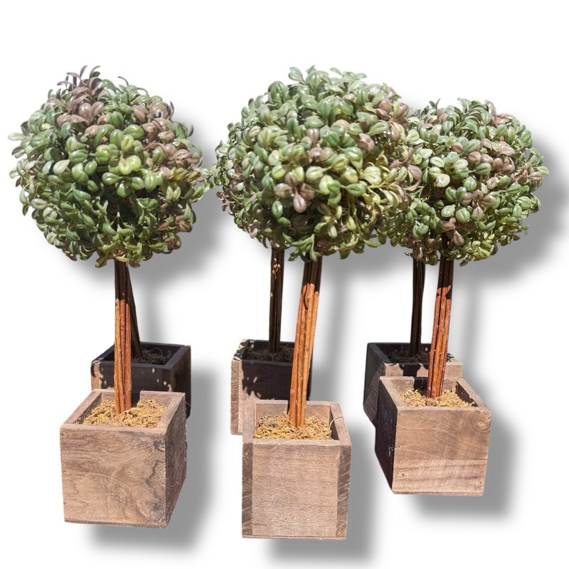 Artificial Tabletop Boxwood Topiary Trees Cottage House Granny Core Round Plant gallery