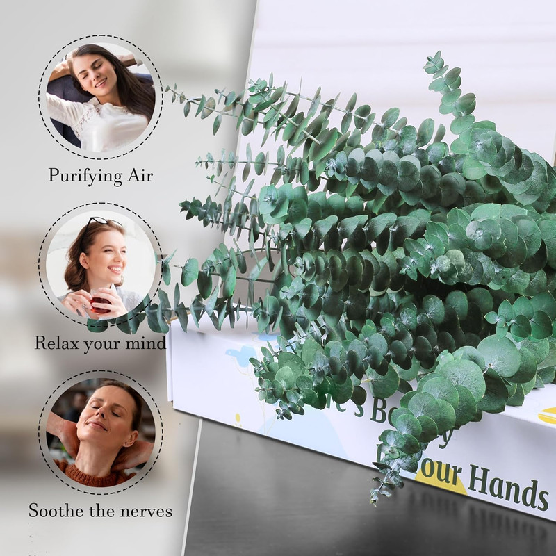 30Pcs Dried Eucalyptus Stems, 17" Real Preserved Eucalyptus Plant for Shower, Fr gallery