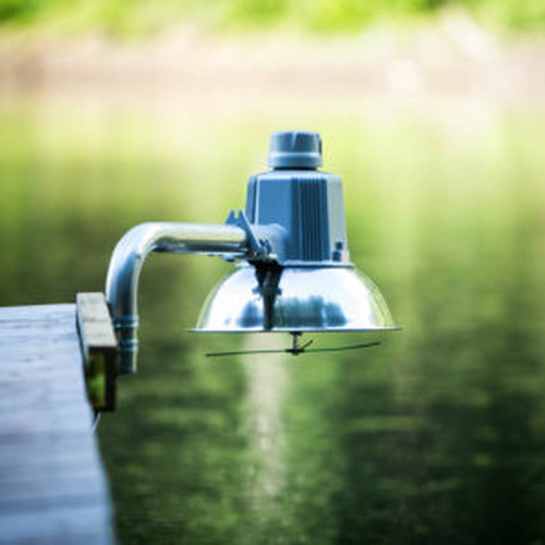 Bojo FishLight - Swinging Arm Mount - Feed your Fish! Bjornsen Pond Management gallery