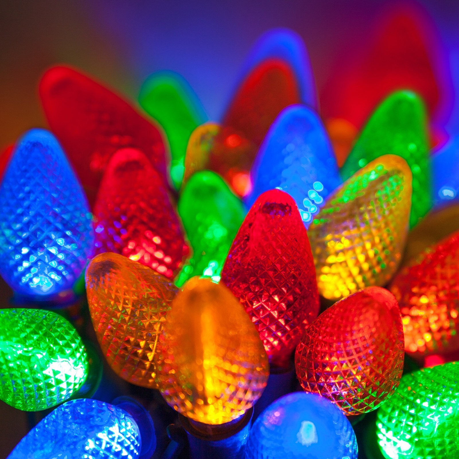 25 LED Christmas Light Set C7 Indoor Outdoor Home Holiday Party String Lights gallery