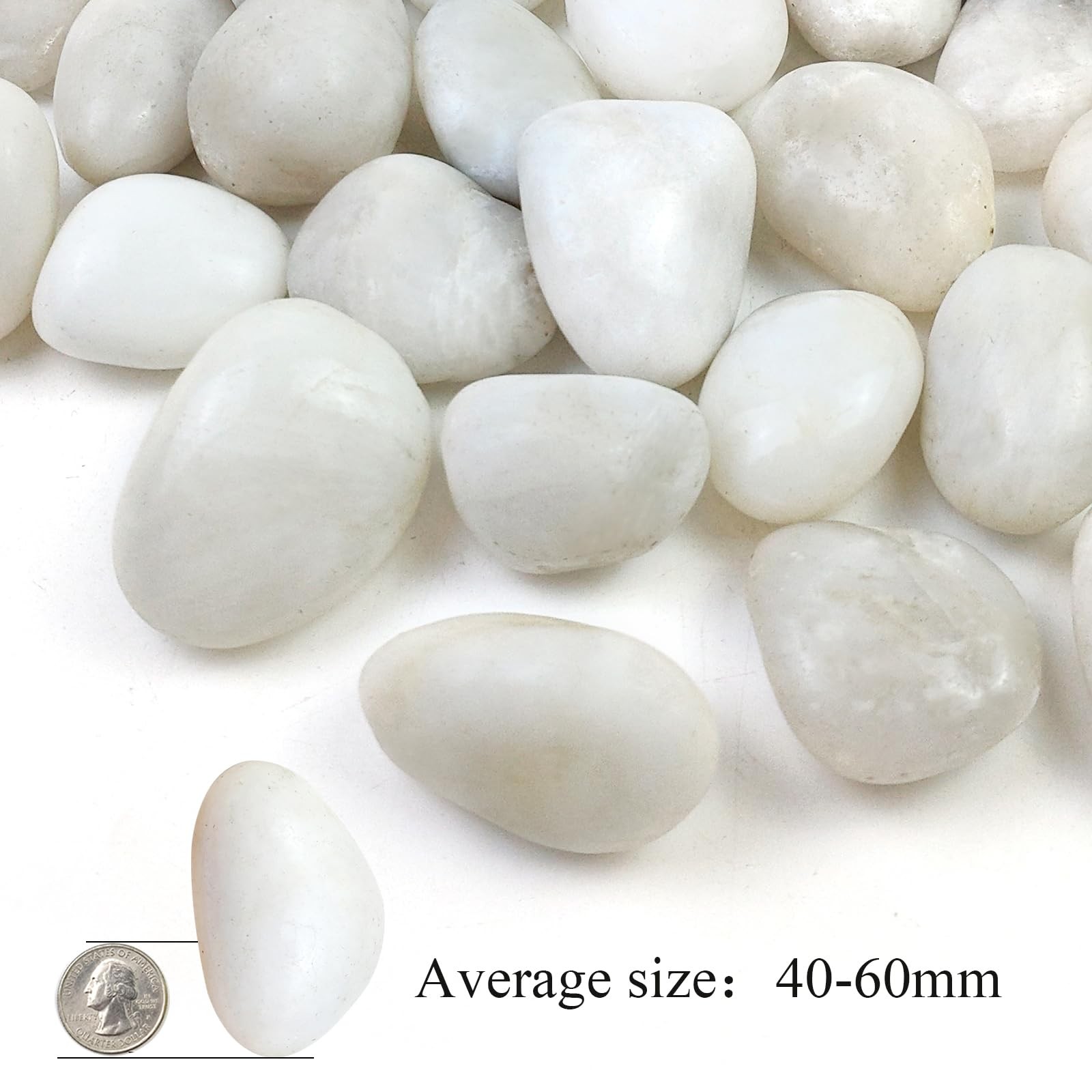 SHIZWU 10LB White River Rocks - 2-3 inch High Polished Decorative 10LB, gallery