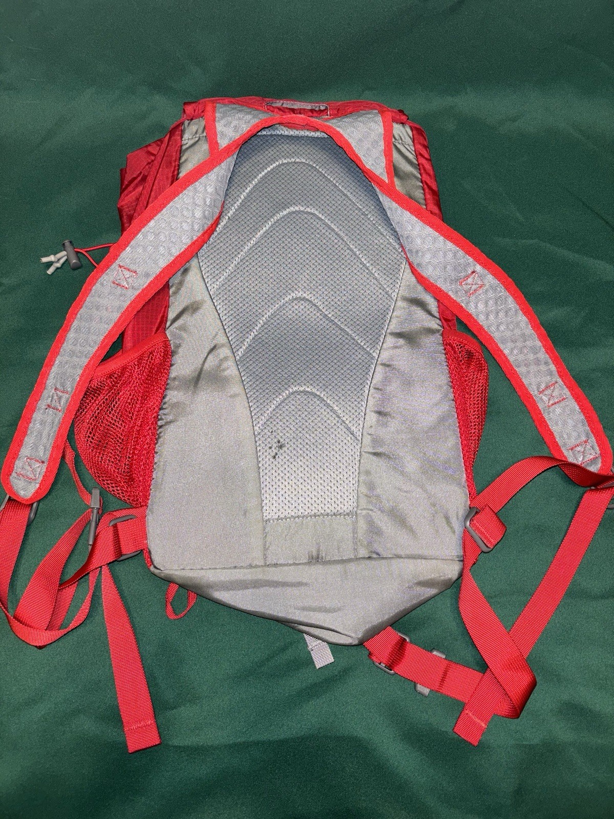 rei co-op flash 22 Pack Backpack 3