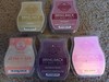**READ DESCRIPTION** Scentsy Wax - 3.2 oz Bars - For Any Wax or Tart Warmer gallery