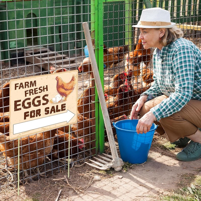 3Pcs Double Sided Farm Fresh Eggs Sign Eggs for Sale Sign Corrugated Plastic Fre gallery
