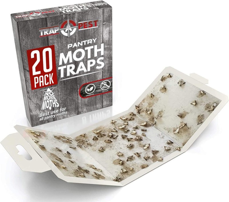20 Pack Pantry Moth Traps Safe and Effective for Food and Cupboard Glue Trap US gallery