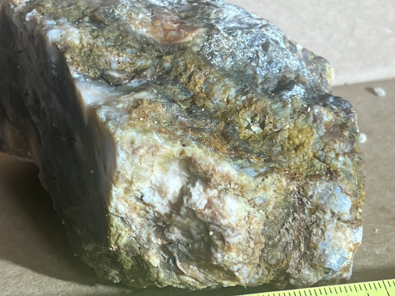 multicolored agatized petrified wood 2lb 9oz raw display decor gallery