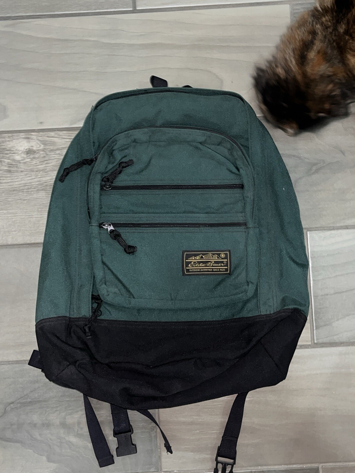 Eddie Bauer Outdoor Backpack