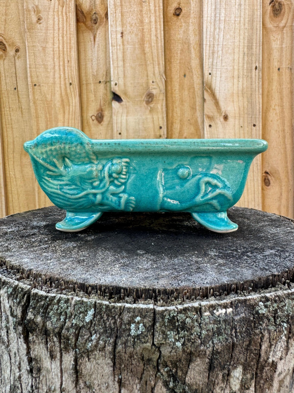 Teal Dragón Bonsai pot 7x5 Inches gallery