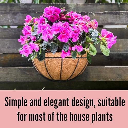 LaLaGreen Wall Hanging Planters, 2 Pack, 12 Inch Wall 12" (30 cm) x 2 Pack gallery