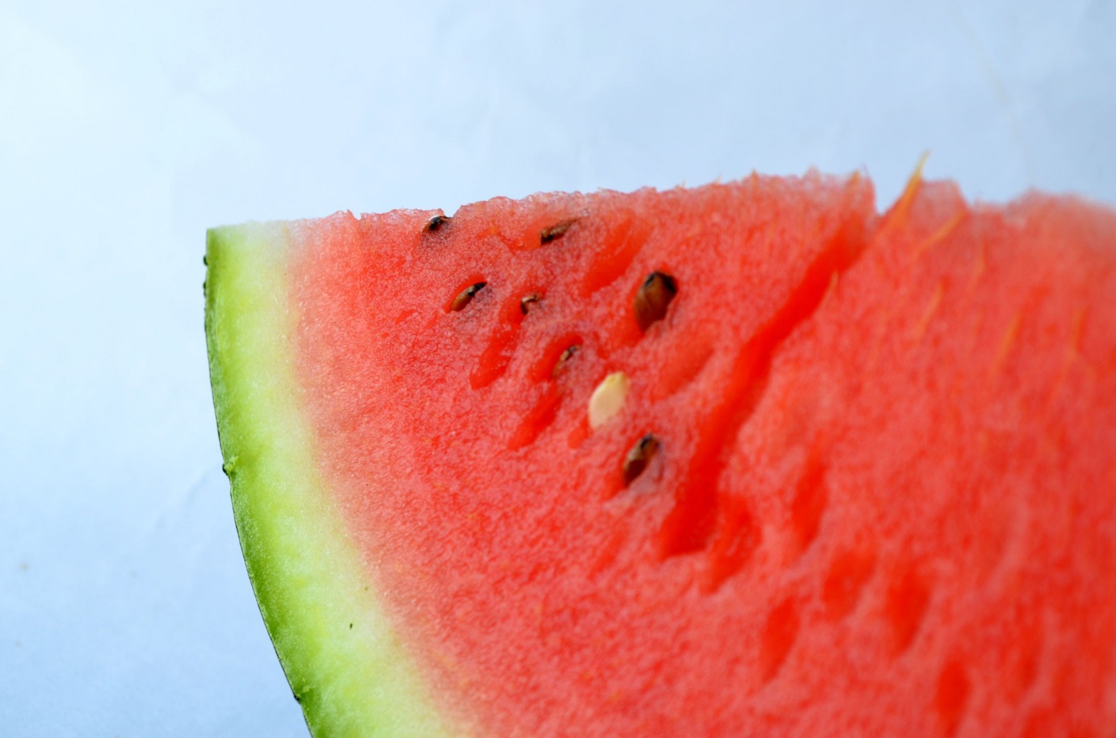 Vegetable Seeds-Florida Giant Watermelon -20 Heirloom Seeds! Giant Fruits! gallery