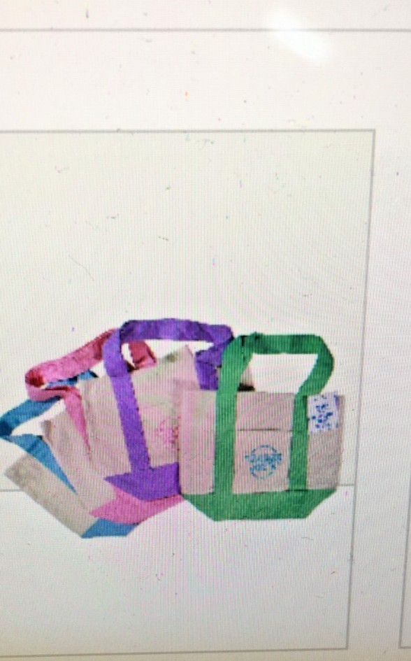 Trader Joe’s Mini Pastel Canvas Tote Bag NWT Blue Green Pink Purple | US Stock gallery
