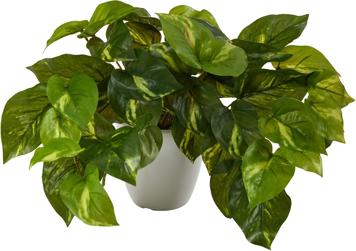 Nearly Natural 9In. Pothos Artificial Plant in White Planter (Real Touch) gallery