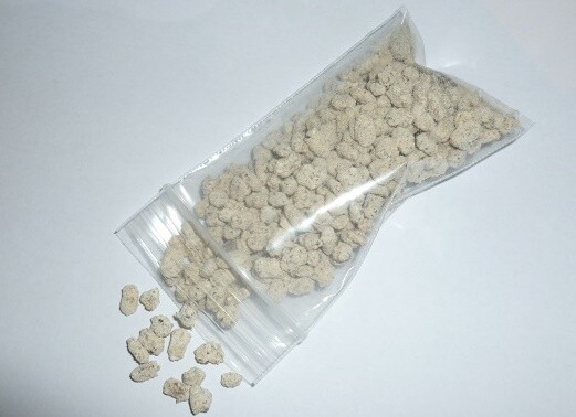REISHI mushroom spores spawn/mycelium (on dry seeds) 20 grams gallery