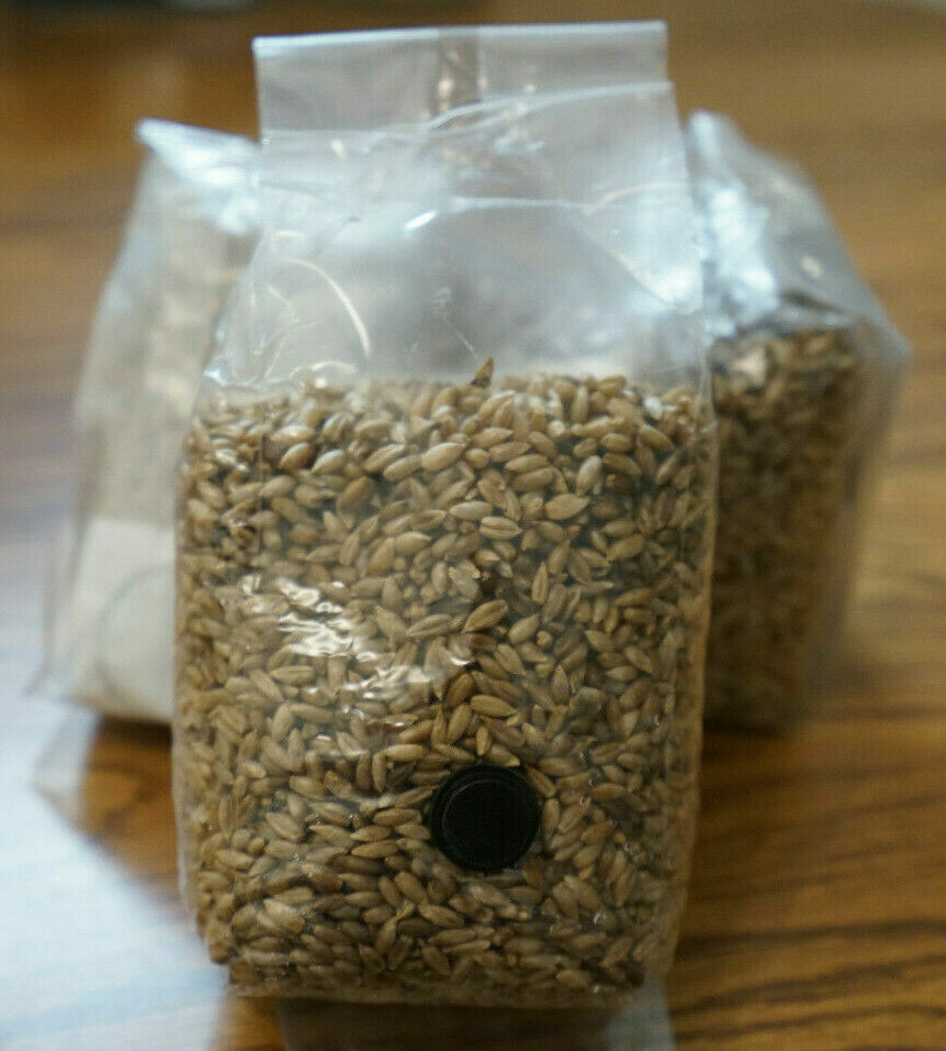 Four 2.5LB Sterilized Rye Berry Spawn Mushroom Bags With Injection Port gallery