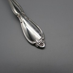Oneida Stainless Chatelaine Flatware – Silverware Community * Your Choice