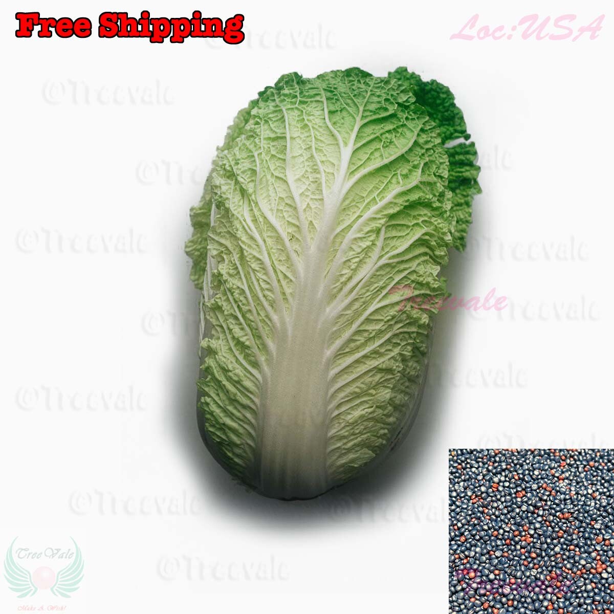 Napa cabbage, Kimchi cabbage, Chinese Cabbage, Dàbáicài seeds | Non-GMO, Organic gallery