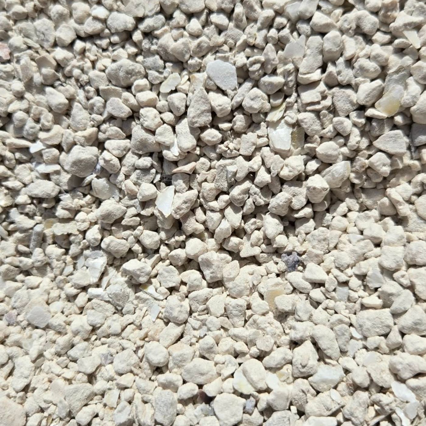 100% All Natural Crushed Oyster Shell Soil Amendment Choose Size FREE SHIPPING gallery