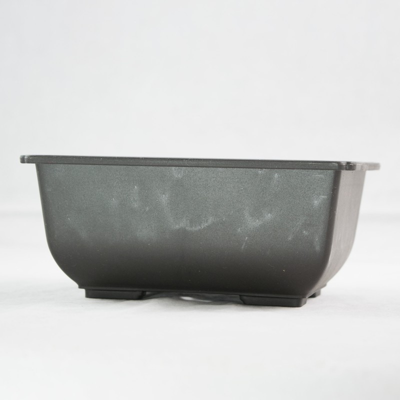 3 Rectangular Plastic Bonsai Training Pot, Succulent Planter 5.75"x 4.25"x 2.5" gallery