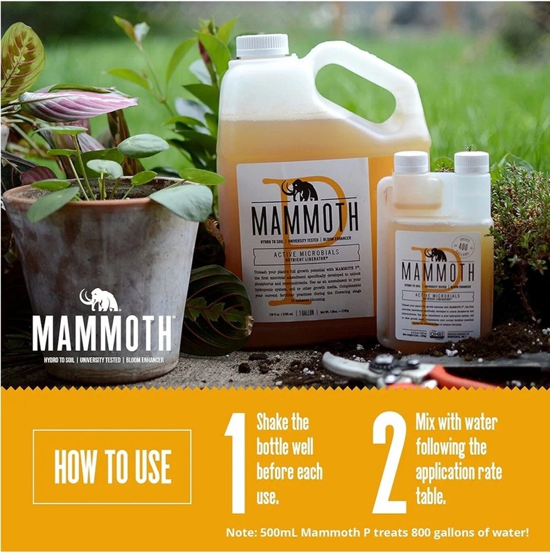 Mammoth P Bloom Booster | Organic Microbial Inoculant | 16% Increase Yields 15mL gallery