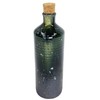 Ion Bottle Radium Bottle Water 800ml (27oz) Vidro Shigaraki Ware F/S NEW gallery