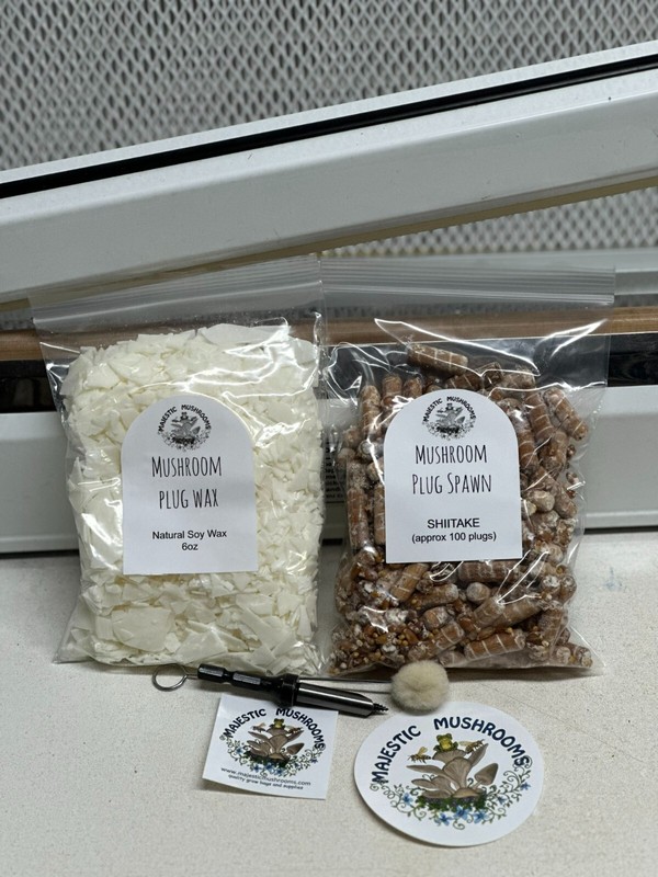 Shiitake Mushroom Plug Spawn 100x & drill bit/wax combo pack - FREE USA shipping gallery