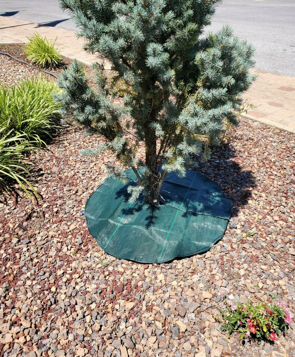 DEWITT GREEN TREE CIRCLE WEED MATS 3' X 3' OR 4' X 4' gallery