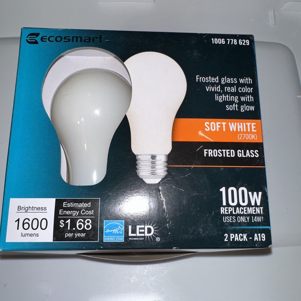 100-Watt Equivalent A19 Dimmable CEC Frosted Glass Filament LED Light Bulbs Soft