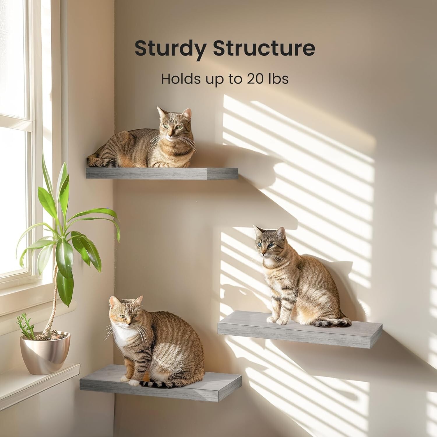 AMADA HOMEFURNISHING Floating Shelves, Wall Shelves for Bathroom/Living Room/Bed gallery