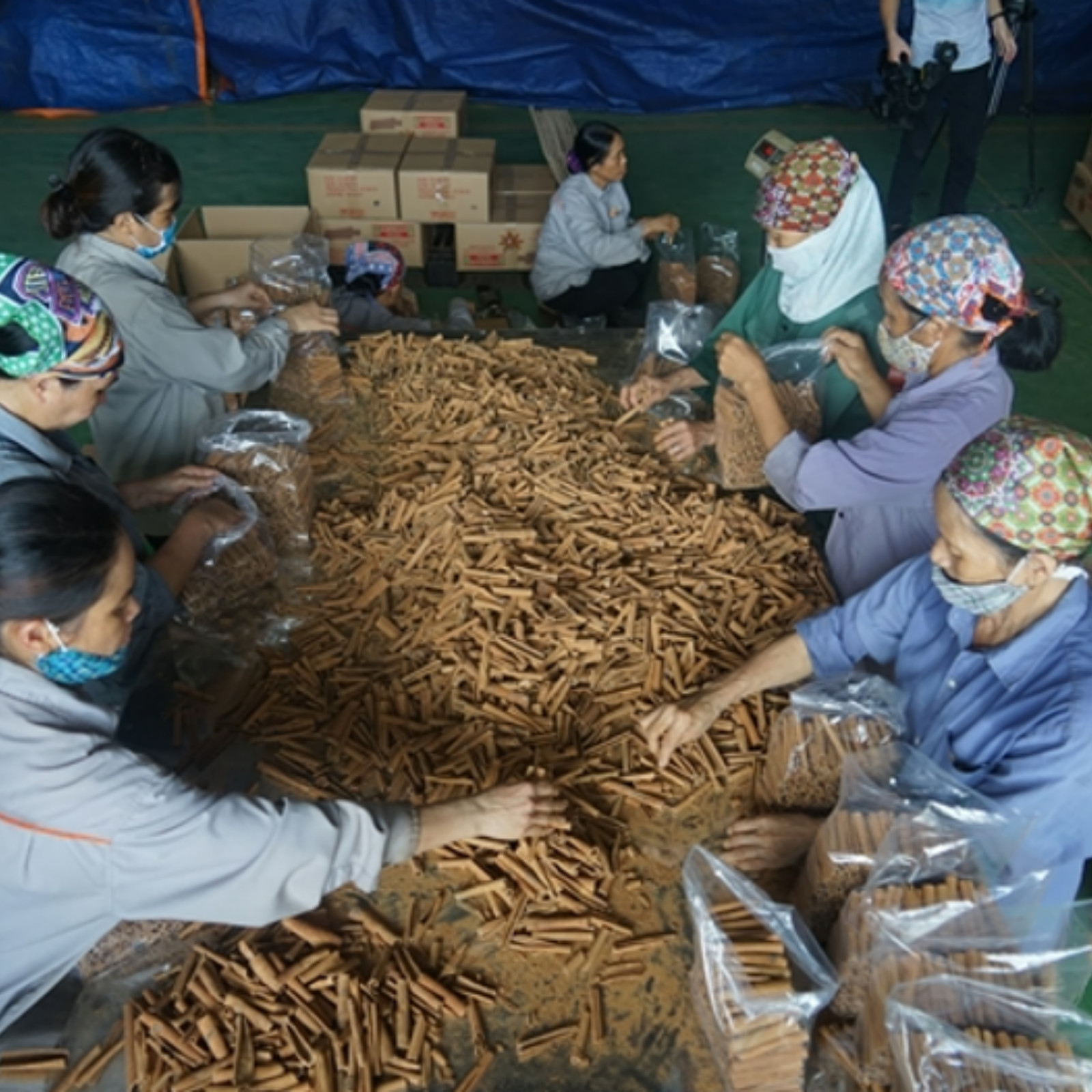 Pure Ceylon Cinnamon NOT CASSIA "True Cinnamon Sticks" High-Quality Certified Or gallery