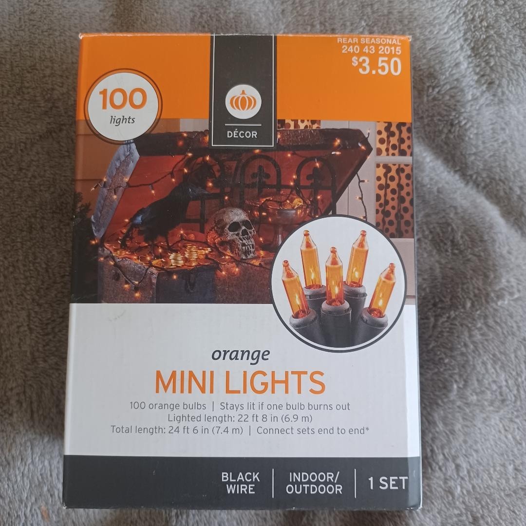 2016 Target Decor 24 Feet Black Wire Indoor/Outdoor 100 Count Mini Lights gallery