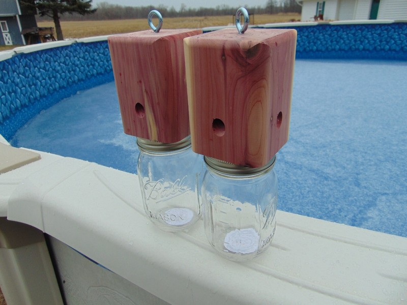 2 Red Cedar Carpenter Bee-bore traps FREE SHIPPING 100% Made in America gallery
