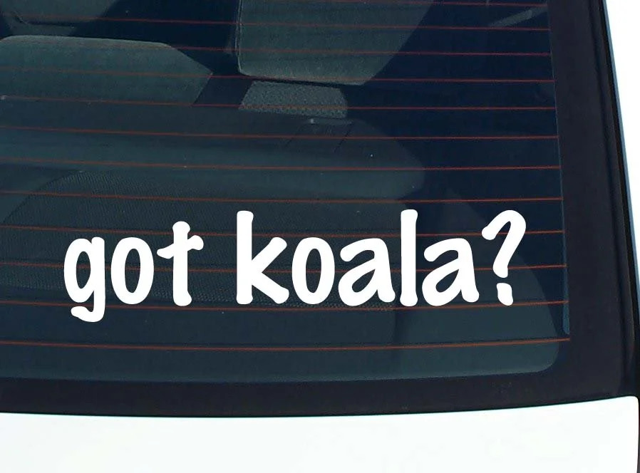 got koala? CAR DECAL BUMPER STICKER VINYL FUNNY JOKE WINDOW gallery