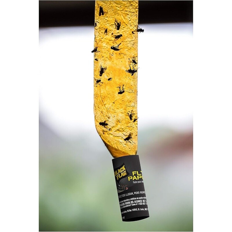 Insect Trap Fly Paper Sticky Traps Flies Mosquitoes Caterpillars 4 Pack New gallery
