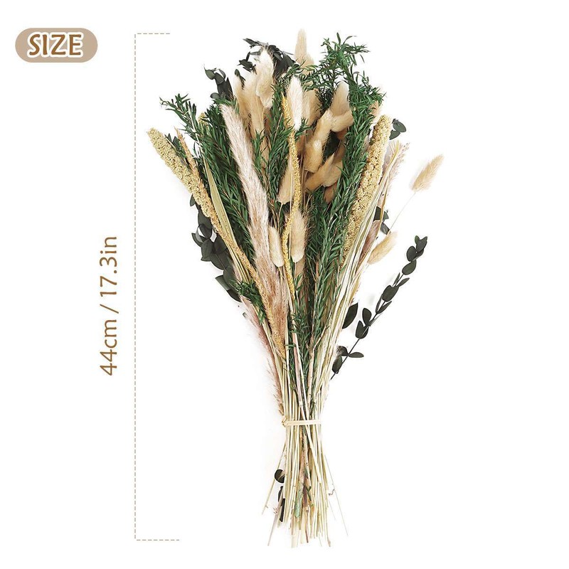 85Pcs Small Dried Flower Bouquet Small Whisk Small Grass Dried Flowers Decor gallery