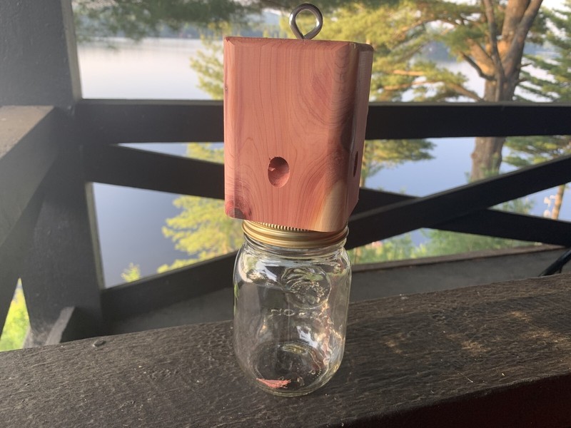 8 Red Cedar carpenter bee-bore cedar traps FREE SHIPPING gallery
