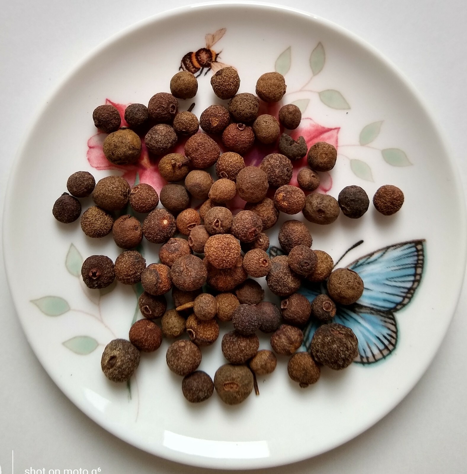 ALLSPICE BERRIES WHOLE GUATEMALA 1 OZ - 2 LB RESEALABLE BAG gallery