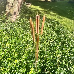 Copper Cattail Wind Chimes