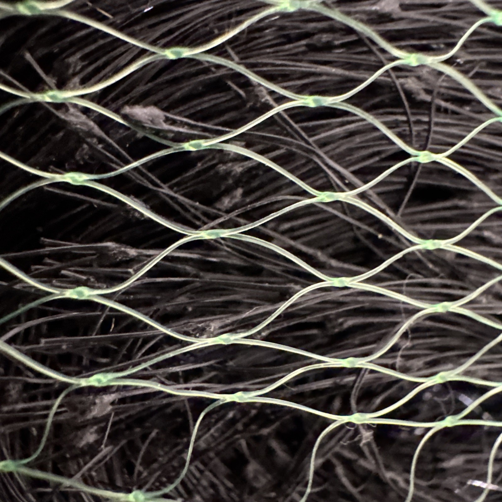 Bird Netting for Garden 13X33Ft - Black 3/5 in Mesh Garden Protect NEW gallery