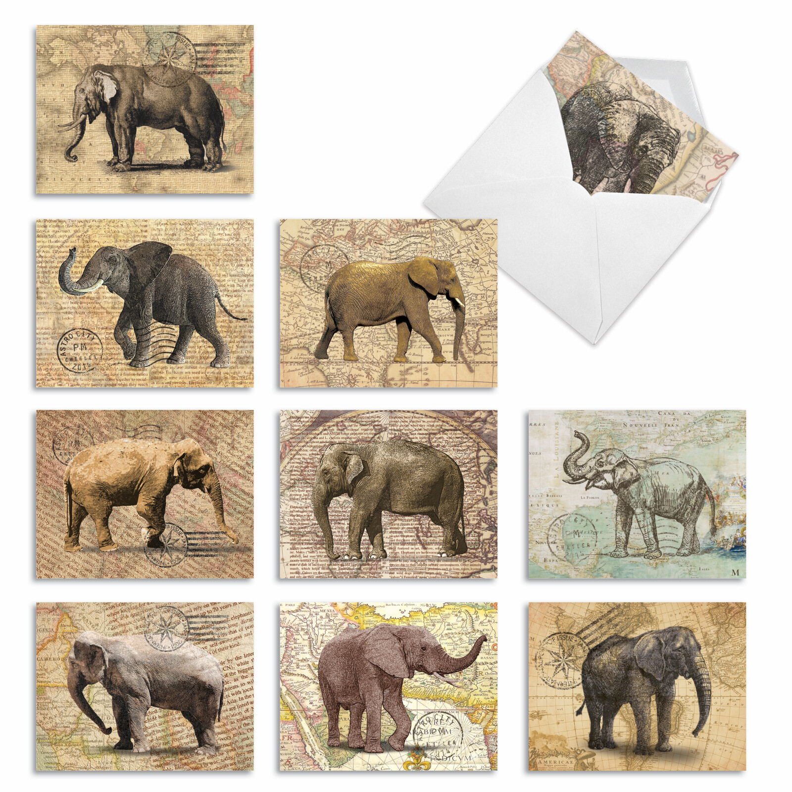 10 Assorted All Occasion Blank Note Cards Pack - Trunk Mail gallery