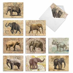 10 Assorted All Occasion Blank Note Cards Pack – Trunk Mail