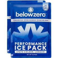 Below Zero Prefilled Reusable Ice Packs for Coolers Long Lasting Freezer Blocks