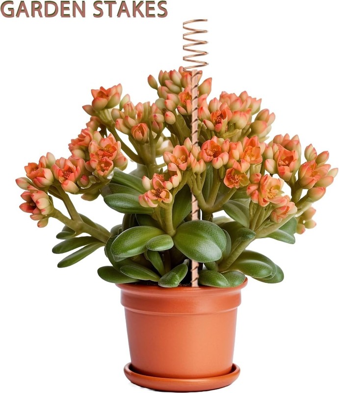 18 Pack Copper Plant Stakes for Garden Electroculture Growth 12 in, Eco-Friendly gallery