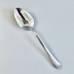 Oneida Cube Stainless Flatware Damask Rose SOUP Spoon