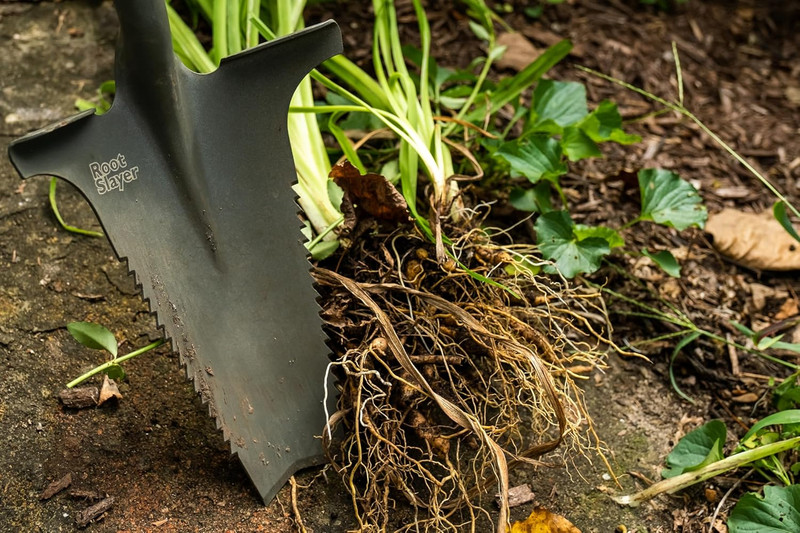 Root Slayer 22011 Garden Shovel with Serrated Blade for Digging and Root Cutting gallery