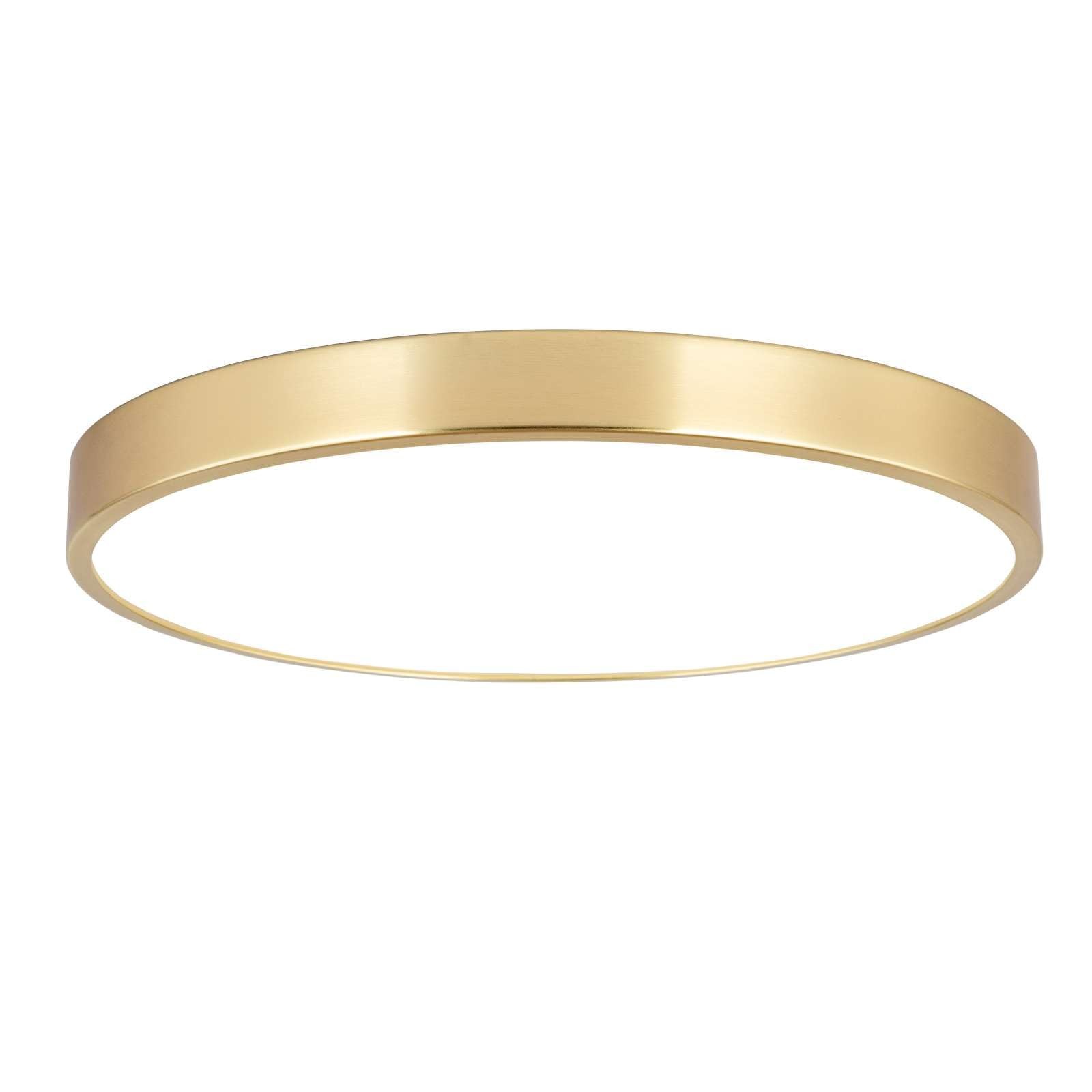 12 Inch Brushed Gold LED Flush Mount Ceiling Light Thin Round 20W 30005000K gallery