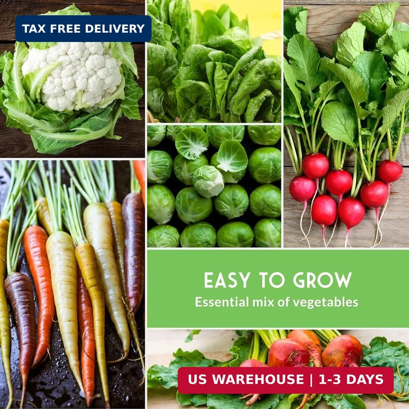 Fall Vegetable Seeds Collection - 8 Packs of Non-GMO Heirloom Cool Weather Seed gallery