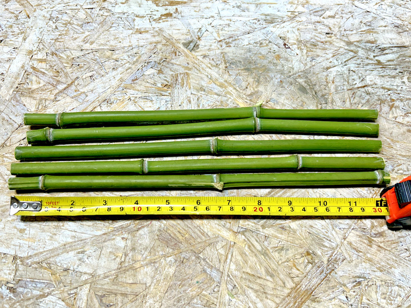 5PCS 1/2" Diameter Fresh Cut Natural Bamboo For Decor 12" gallery
