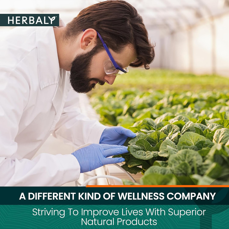 Herbaly Heart Functional Tea - 9 Superherbs - Natural, Organic, Non-Gmo, Caffein gallery